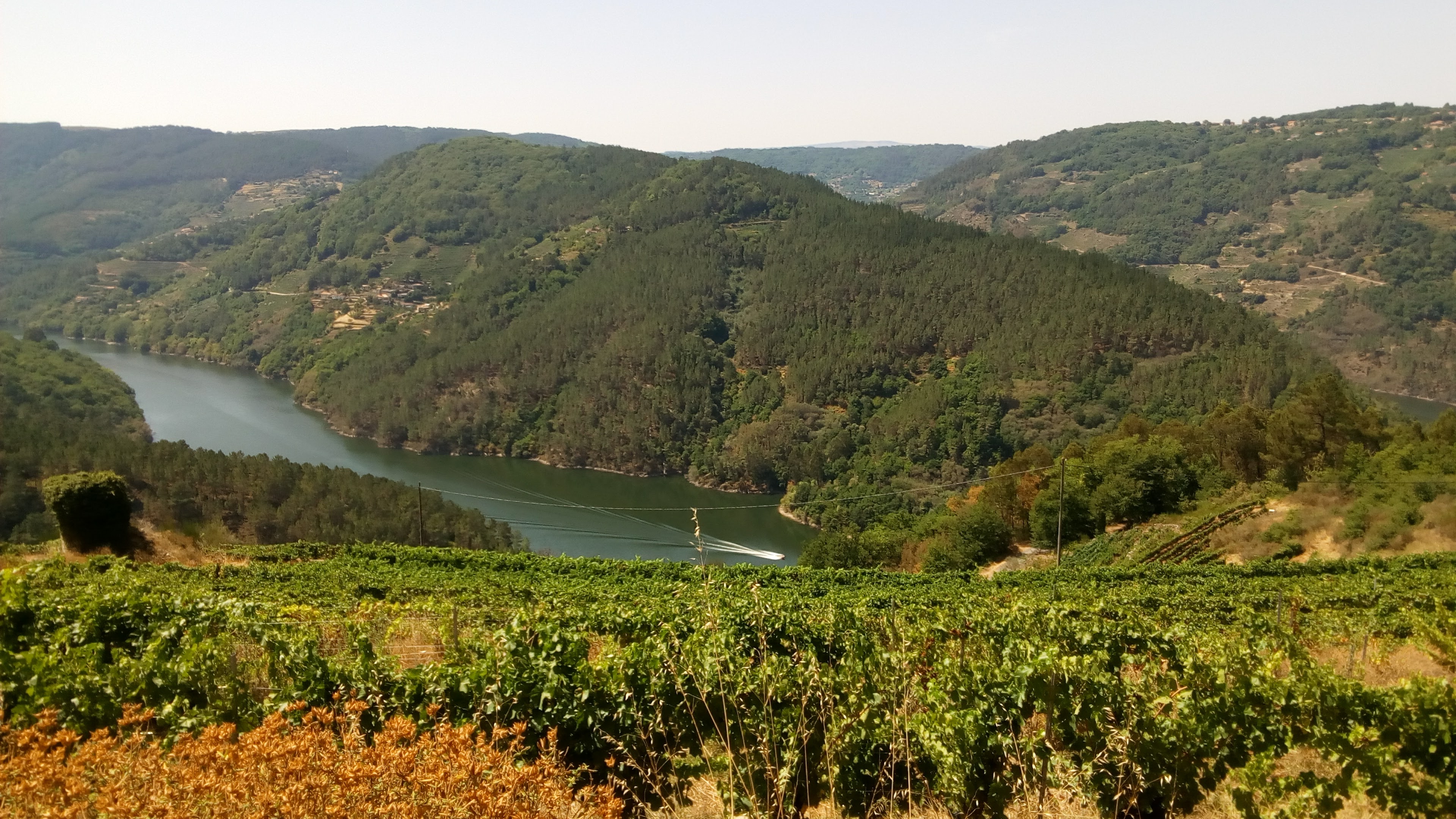 Vistas del cañón de la Ribeira Sacra